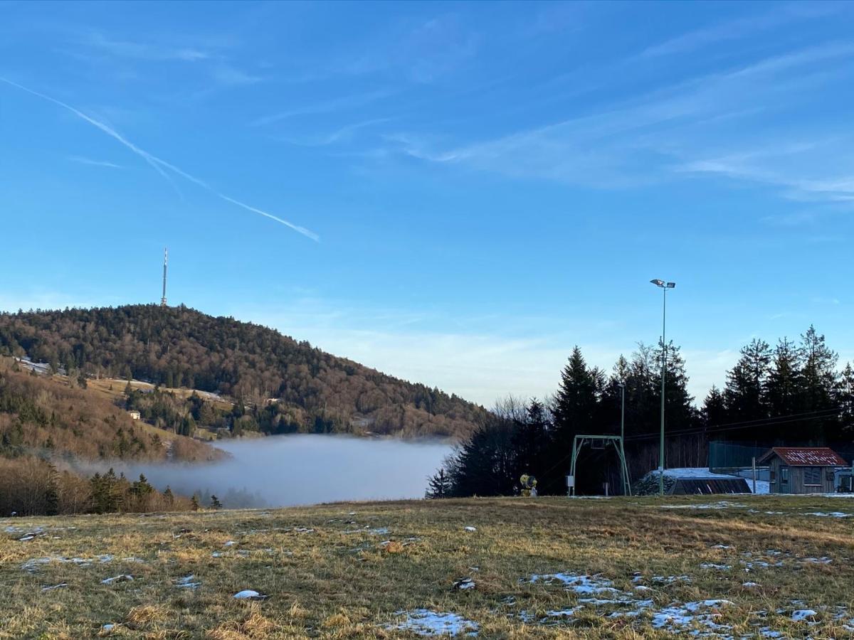 Mitten Im Bayerischen Wald-95M² Wohnung + *Netflix* Direkt Am Skilift! Schofweg Exterior photo