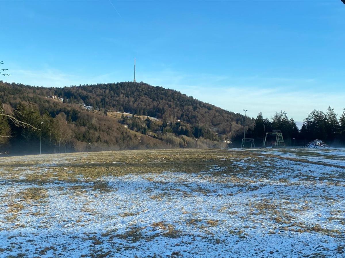 Mitten Im Bayerischen Wald-95M² Wohnung + *Netflix* Direkt Am Skilift! Schofweg Exterior photo