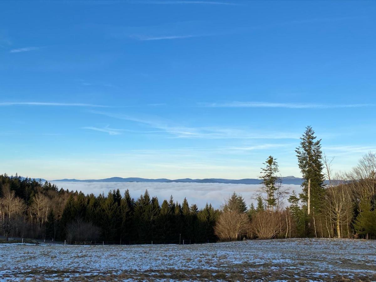 Mitten Im Bayerischen Wald-95M² Wohnung + *Netflix* Direkt Am Skilift! Schofweg Exterior photo