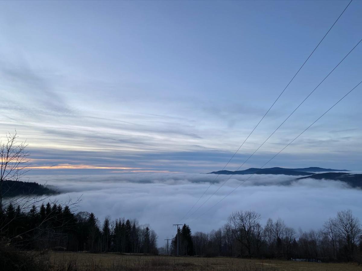 Mitten Im Bayerischen Wald-95M² Wohnung + *Netflix* Direkt Am Skilift! Schofweg Exterior photo