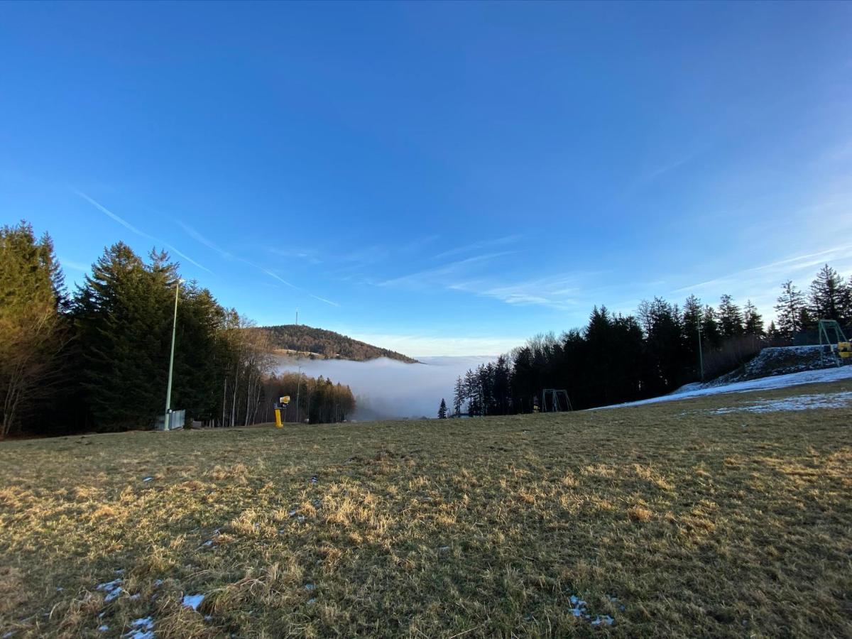Mitten Im Bayerischen Wald-95M² Wohnung + *Netflix* Direkt Am Skilift! Schofweg Exterior photo
