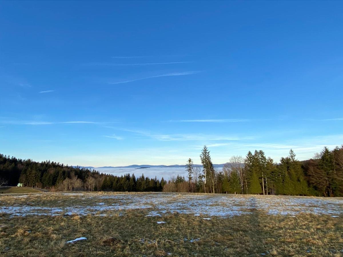 Mitten Im Bayerischen Wald-95M² Wohnung + *Netflix* Direkt Am Skilift! Schofweg Exterior photo