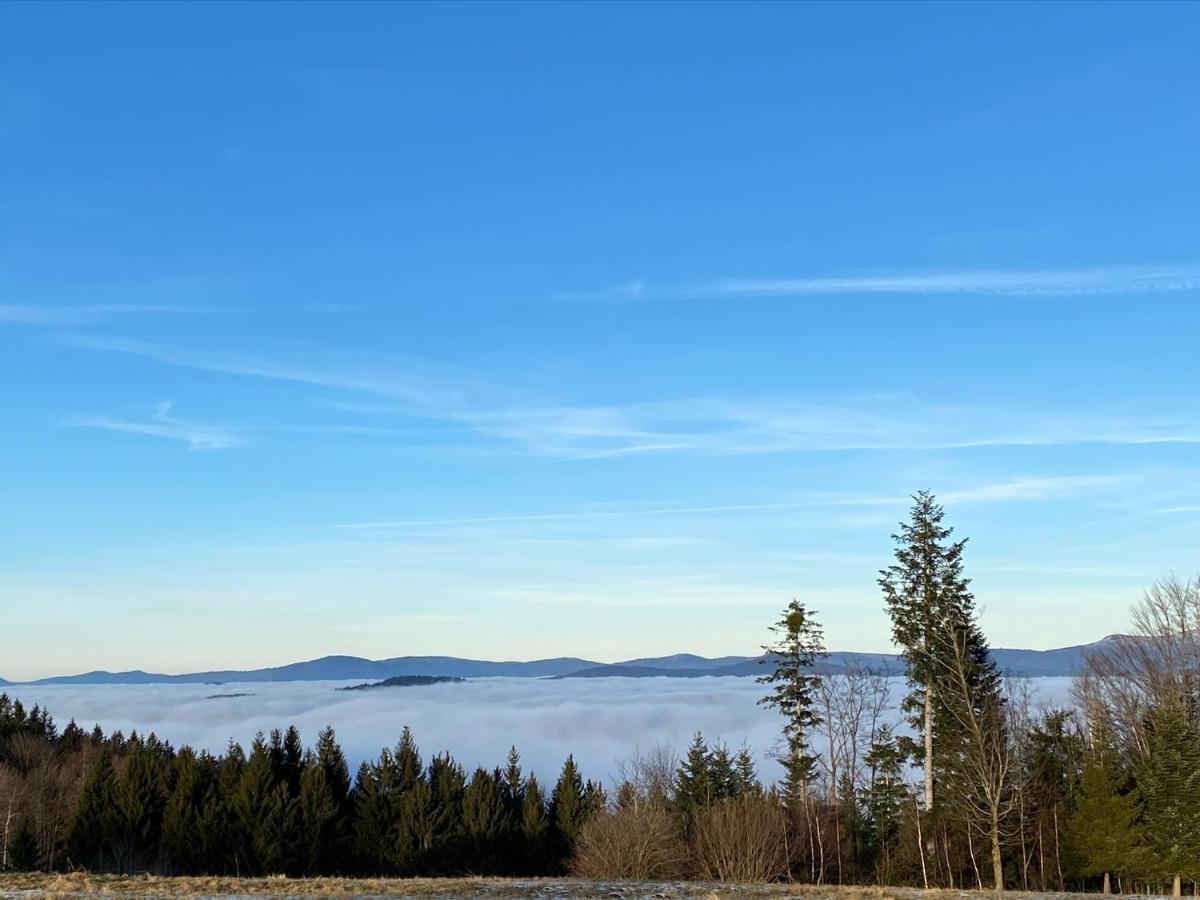 Mitten Im Bayerischen Wald-95M² Wohnung + *Netflix* Direkt Am Skilift! Schofweg Exterior photo